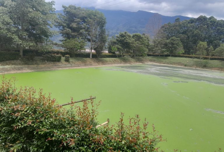 Reciclaje y cuidado ambiental