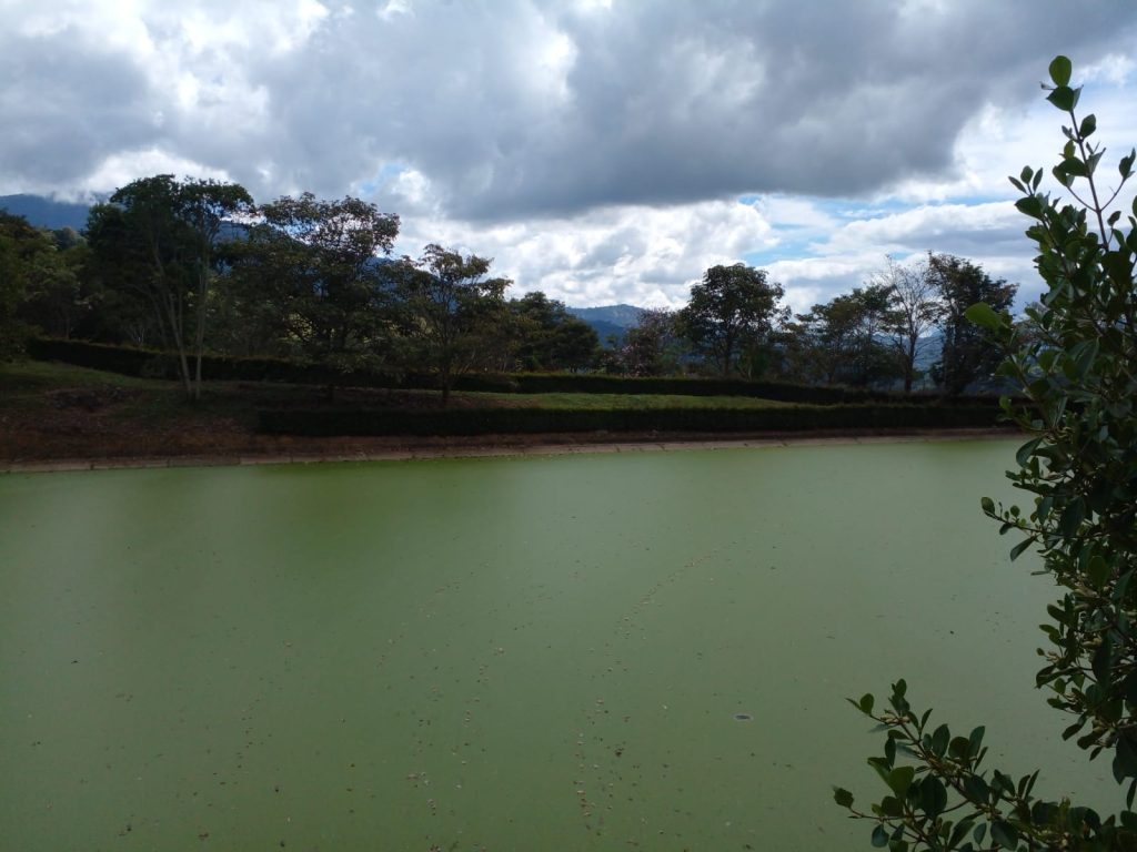 Instalaciones de EMSOCHINAVITA relacionadas con los objetivos empresariales